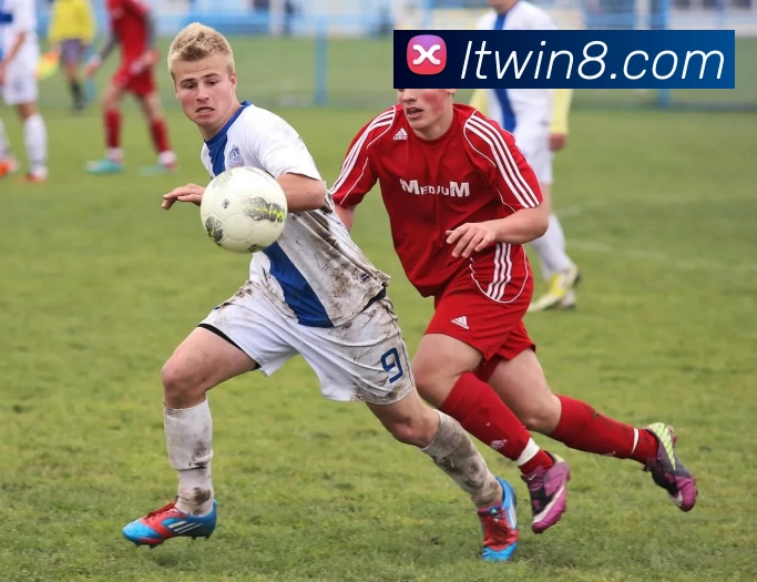 多媒体互动体验